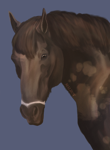 Malroy drawing Tingy 2025 small