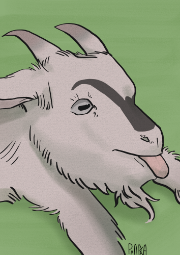 pandasoups drawing Nan 2025 small